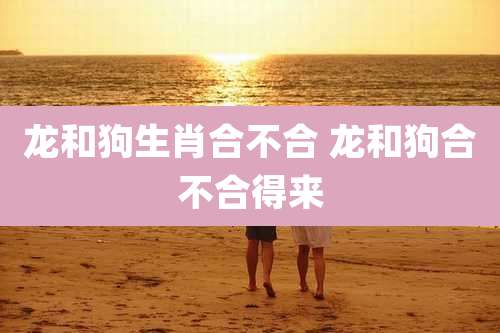 龙和狗生肖合不合 龙和狗合不合得来