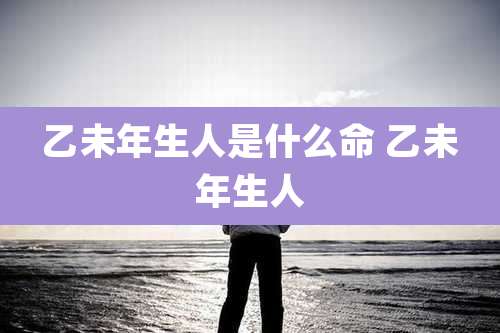 乙未年生人是什么命 乙未年生人