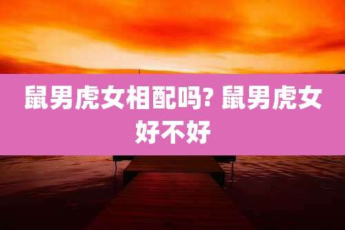 鼠男虎女相配吗? 鼠男虎女好不好