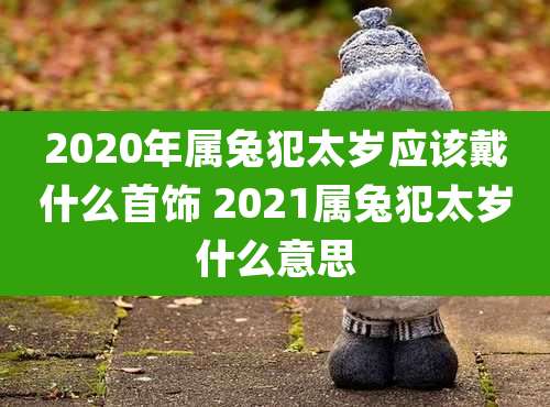 2020年属兔犯太岁应该戴什么首饰 2021属兔犯太岁什么意思