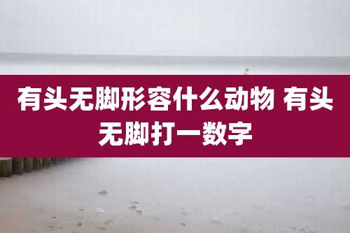 有头无脚形容什么动物 有头无脚打一数字