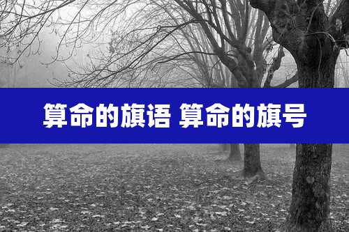 算命的旗语 算命的旗号