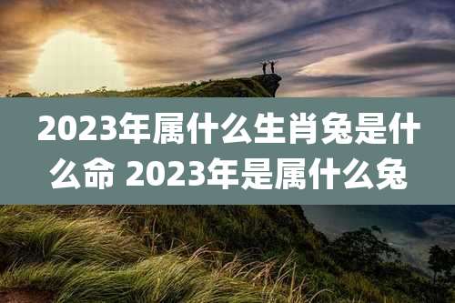 2023年属什么生肖兔是什么命 2023年是属什么兔