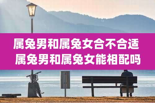 属兔男和属兔女合不合适 属兔男和属兔女能相配吗