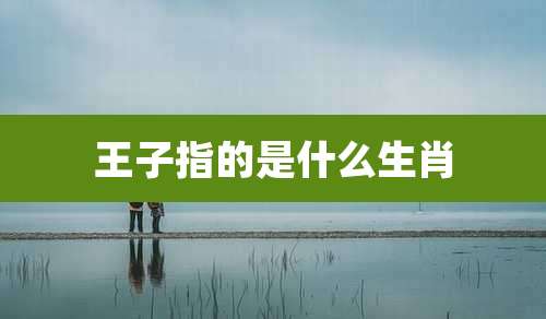 王子指的是什么生肖