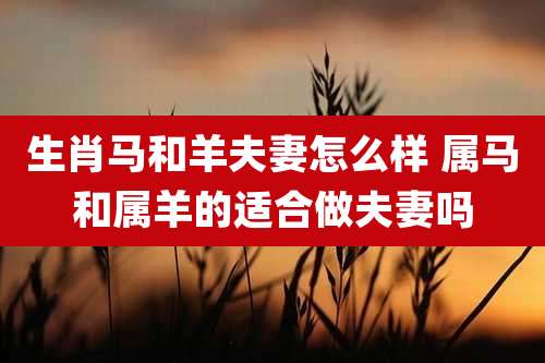 生肖马和羊夫妻怎么样 属马和属羊的适合做夫妻吗