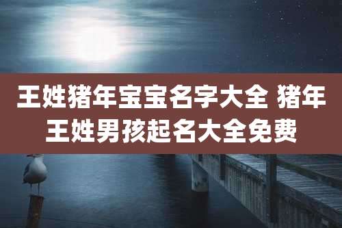 王姓猪年宝宝名字大全 猪年王姓男孩起名大全免费
