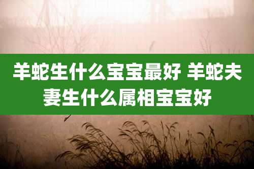 羊蛇生什么宝宝最好 羊蛇夫妻生什么属相宝宝好