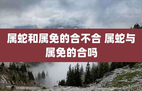 属蛇和属免的合不合 属蛇与属免的合吗