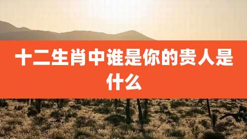 十二生肖中谁是你的贵人是什么
