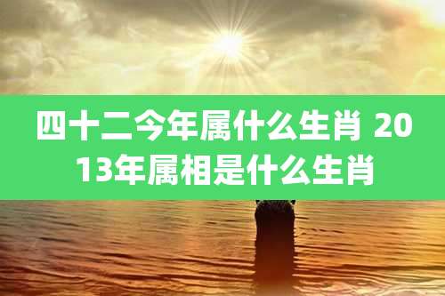 四十二今年属什么生肖 2013年属相是什么生肖
