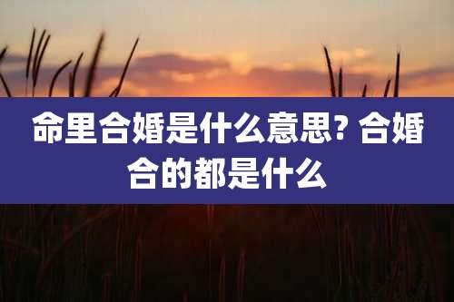 命里合婚是什么意思? 合婚合的都是什么