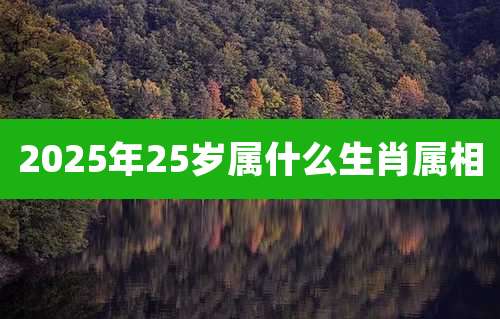 2025年25岁属什么生肖属相