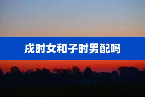 戌时女和子时男配吗