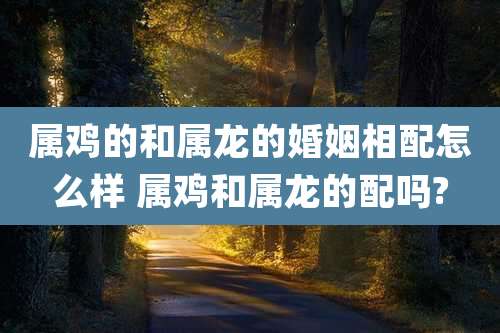 属鸡的和属龙的婚姻相配怎么样 属鸡和属龙的配吗?