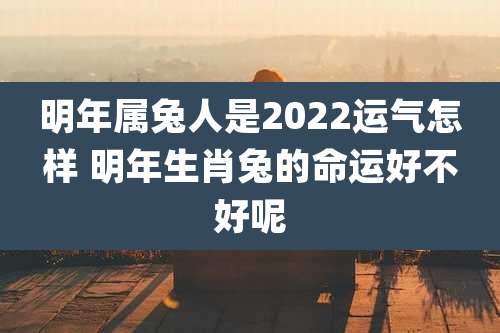 明年属兔人是2022运气怎样 明年生肖兔的命运好不好呢