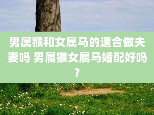 男属猴和女属马的适合做夫妻吗 男属猴女属马婚配好吗?