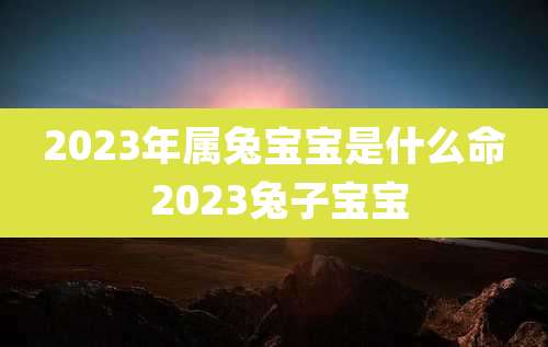 2023年属兔宝宝是什么命 2023兔子宝宝