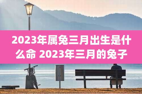 2023年属兔三月出生是什么命 2023年三月的兔子