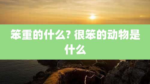 笨重的什么? 很笨的动物是什么
