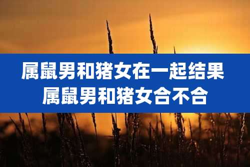 属鼠男和猪女在一起结果 属鼠男和猪女合不合