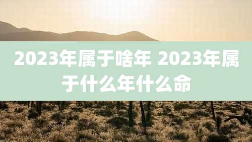 2023年属于啥年 2023年属于什么年什么命