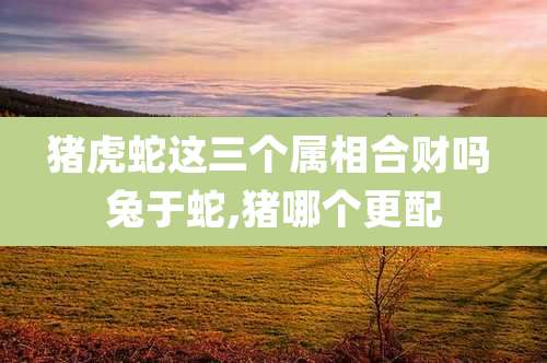 猪虎蛇这三个属相合财吗 兔于蛇,猪哪个更配