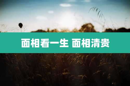 面相看一生 面相清贵