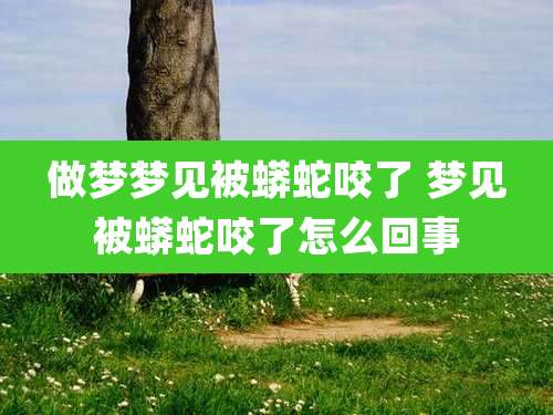 做梦梦见被蟒蛇咬了 梦见被蟒蛇咬了怎么回事