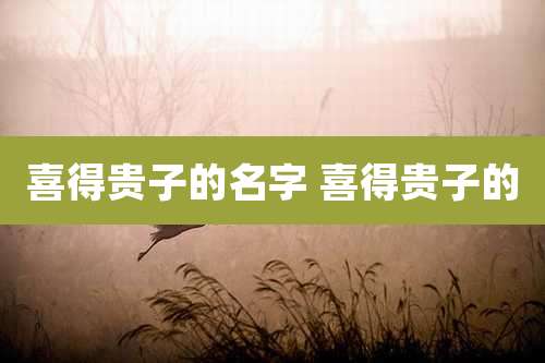 喜得贵子的名字 喜得贵子的