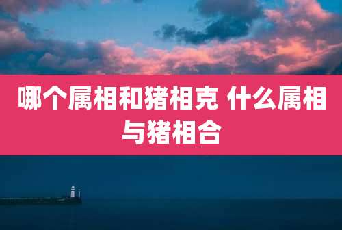 哪个属相和猪相克 什么属相与猪相合