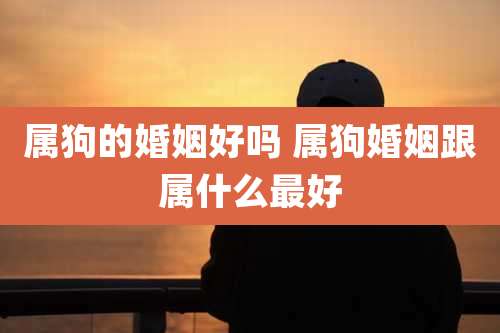 属狗的婚姻好吗 属狗婚姻跟属什么最好