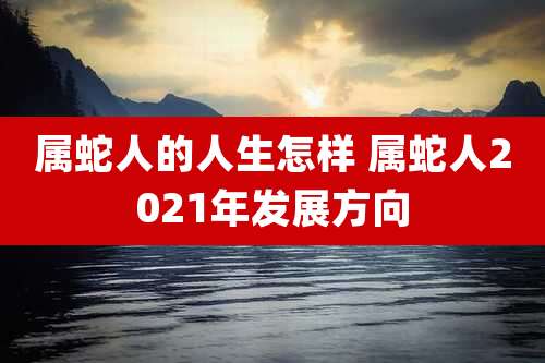 属蛇人的人生怎样 属蛇人2021年发展方向