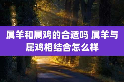 属羊和属鸡的合适吗 属羊与属鸡相结合怎么样