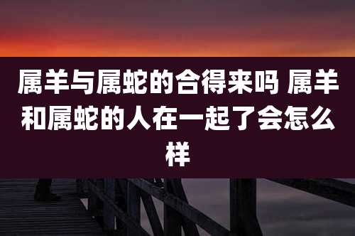 属羊与属蛇的合得来吗 属羊和属蛇的人在一起了会怎么样