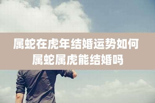 属蛇在虎年结婚运势如何 属蛇属虎能结婚吗