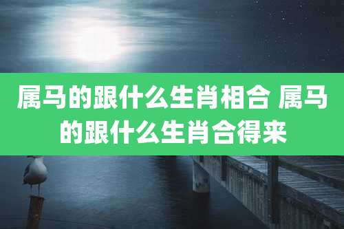 属马的跟什么生肖相合 属马的跟什么生肖合得来