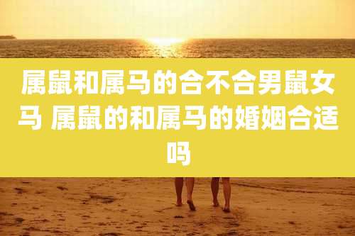 属鼠和属马的合不合男鼠女马 属鼠的和属马的婚姻合适吗