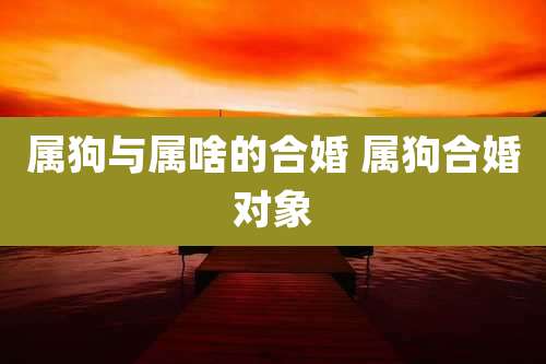 属狗与属啥的合婚 属狗合婚对象