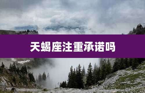 天蝎座注重承诺吗