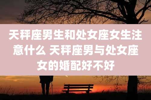 天秤座男生和处女座女生注意什么 天秤座男与处女座女的婚配好不好