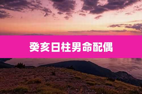 癸亥日柱男命配偶