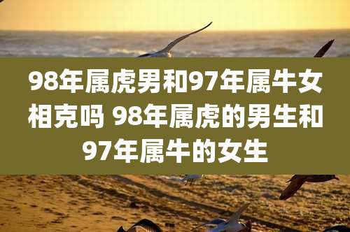 98年属虎男和97年属牛女相克吗 98年属虎的男生和97年属牛的女生