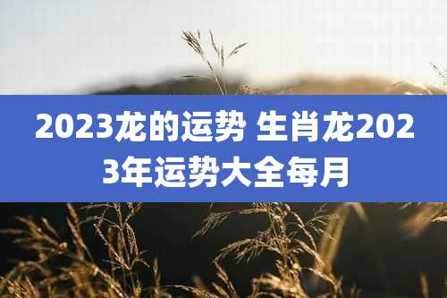 2023龙的运势 生肖龙2023年运势大全每月