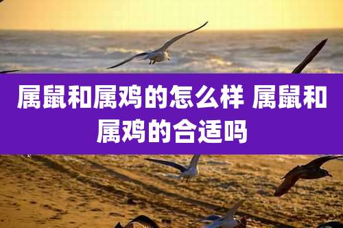 属鼠和属鸡的怎么样 属鼠和属鸡的合适吗
