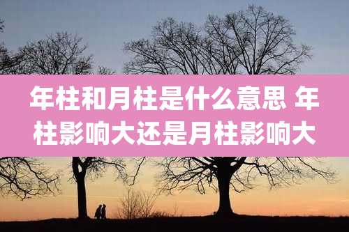 年柱和月柱是什么意思 年柱影响大还是月柱影响大