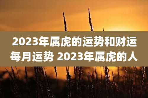 2023年属虎的运势和财运每月运势 2023年属虎的人