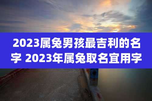 2023属兔男孩最吉利的名字 2023年属兔取名宜用字