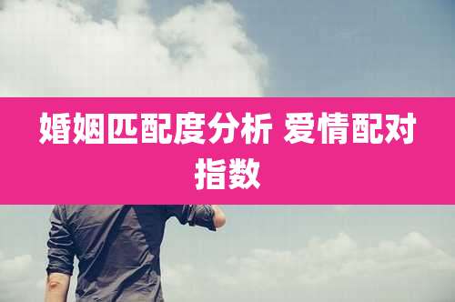 婚姻匹配度分析 爱情配对指数