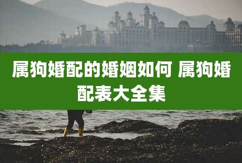 属狗婚配的婚姻如何 属狗婚配表大全集